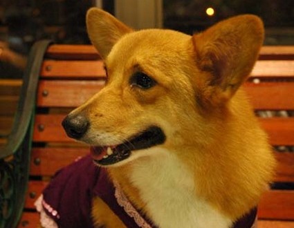 1380945377-2303938674