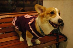 1380945377-3482016572