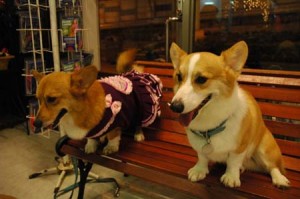 1380945378-166096250