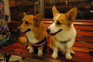 1380945378-2227981449