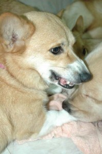 1380945380-2760375086