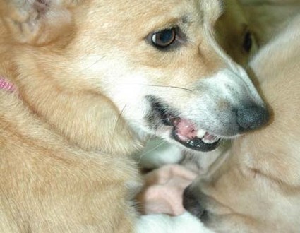 1380945380-2760375086