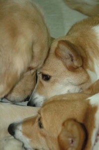 1380945381-3569825115