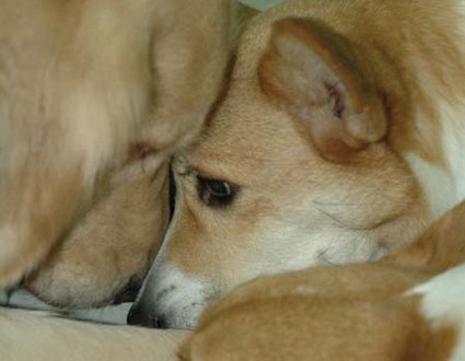 1380945381-3569825115