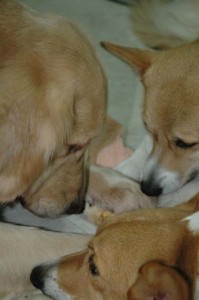 1380945382-1191572361