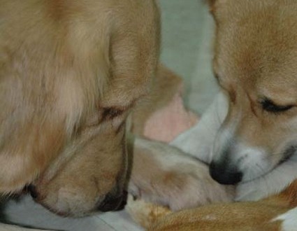 1380945382-1191572361