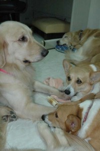 1380945382-3939751553