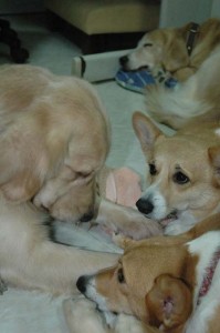 1380945382-4092360340