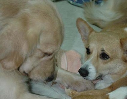 1380945382-4092360340