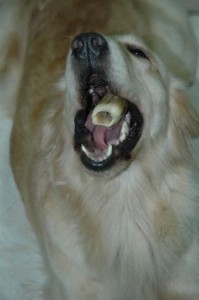 1380945383-1670121228