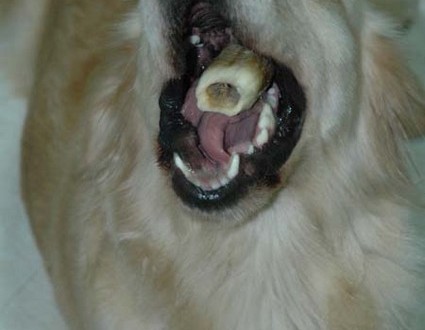 1380945383-1670121228