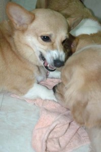 1380945383-4248421167