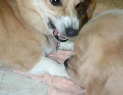 1380945383-4248421167