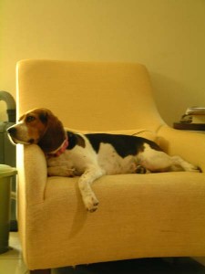 1380945394-1712006963