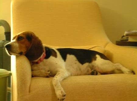 1380945394-1712006963