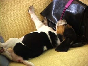 1380945394-2040098308