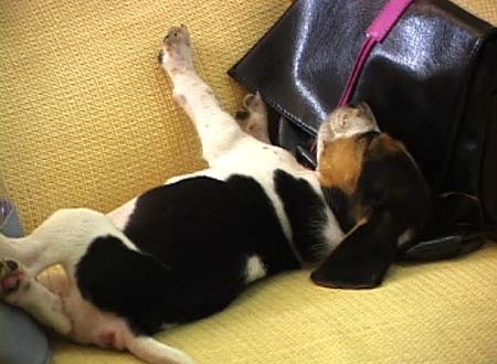 1380945394-2040098308