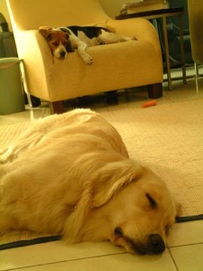 1380945394-3955968380