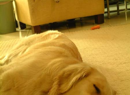 1380945394-3955968380