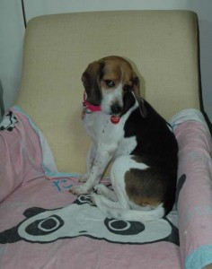 1380945395-1304234164