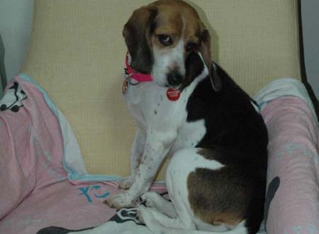 1380945395-1304234164