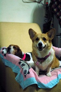 1380945396-442979694