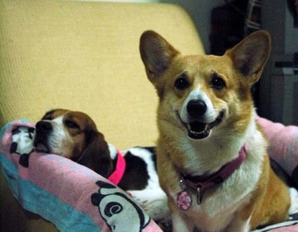 1380945396-442979694