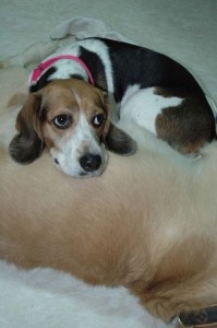 1380945397-1453920422