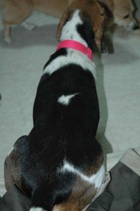 1380945398-1267452825