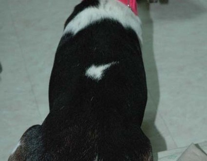 1380945398-1267452825