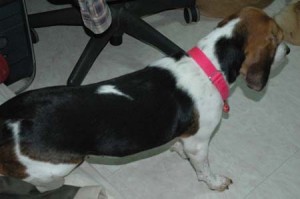 1380945398-176168876