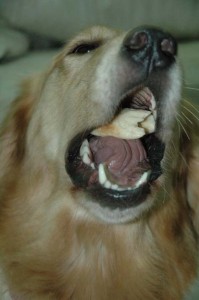 1380945400-1115083802