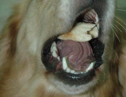 1380945400-1115083802