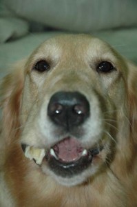 1380945400-2922964417