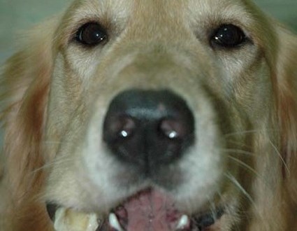 1380945400-2922964417