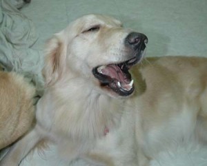 1380945401-1232069750