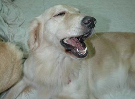 1380945401-1232069750