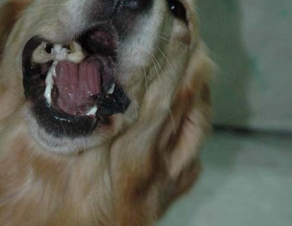 1380945401-2781343693