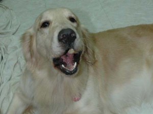 1380945401-3525267279