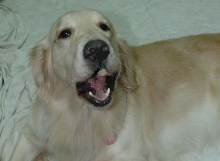 1380945401-3525267279