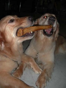 1380945402-1373322448