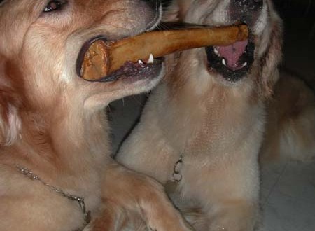 1380945402-1373322448