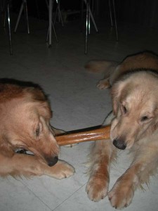 1380945402-3378067679