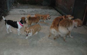 1380945403-3411951449