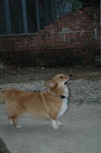 1380945404-1128923918