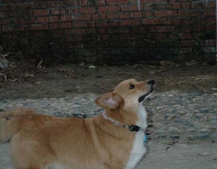 1380945404-1128923918