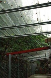 1380945404-1857759075