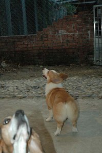 1380945405-583019605