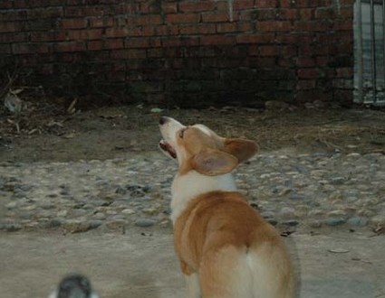 1380945405-583019605