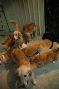 1380945406-1240552149